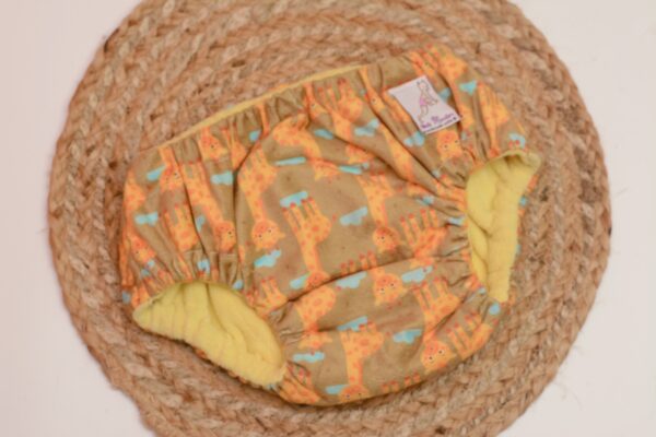 Waterproof panty - 4 pee capacity